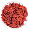 Alta concentración de nutrientes Goji Berry